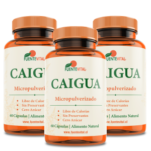 Los Mejores adelgazantes naturales y productos para control de peso en Vitenergy.cl Aprovecha nuestra oferta Packs Promocionales. Pack Caigua Cápsulas Vegetales