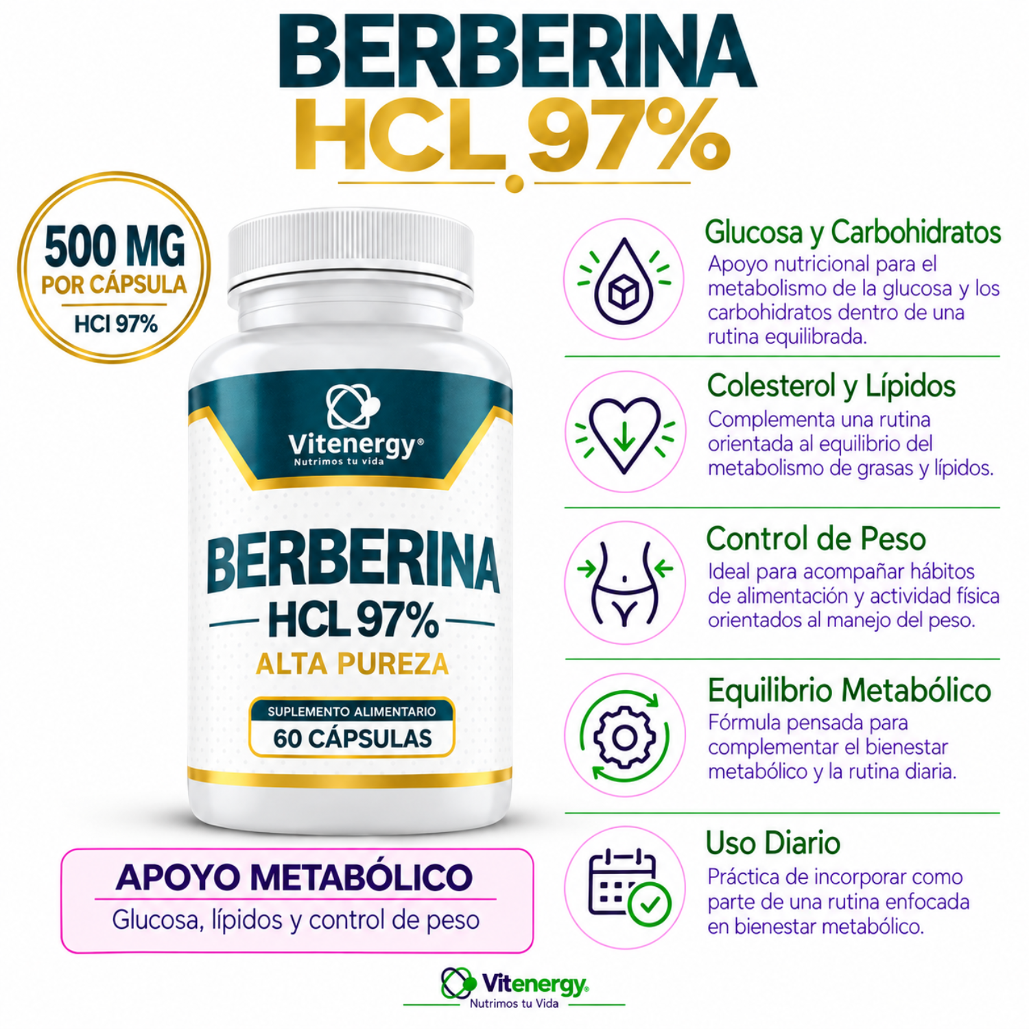 BERBERINA ALTA PUREZA 60 CAPSULAS - Imagen 2