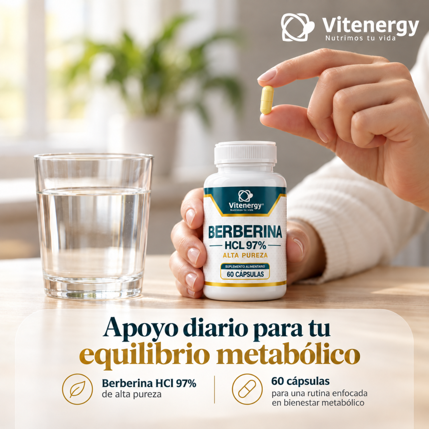 BERBERINA ALTA PUREZA 60 CAPSULAS - Imagen 4
