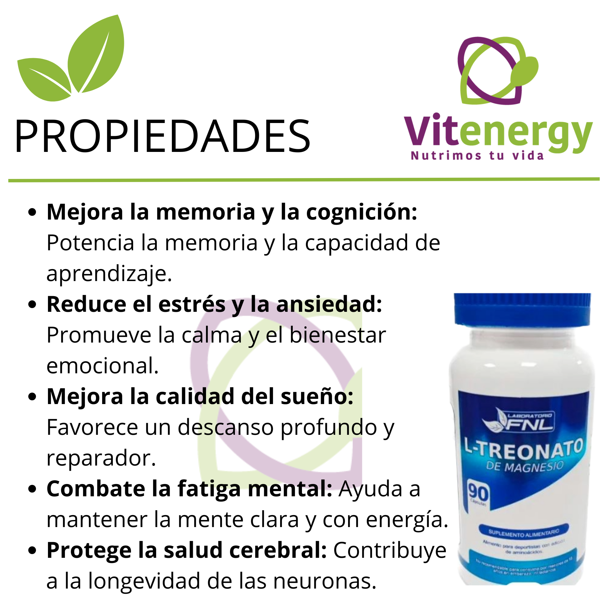 Magnesio Bisglicinato + L-treonato Premium Alta Absorción Pack - Imagen 3