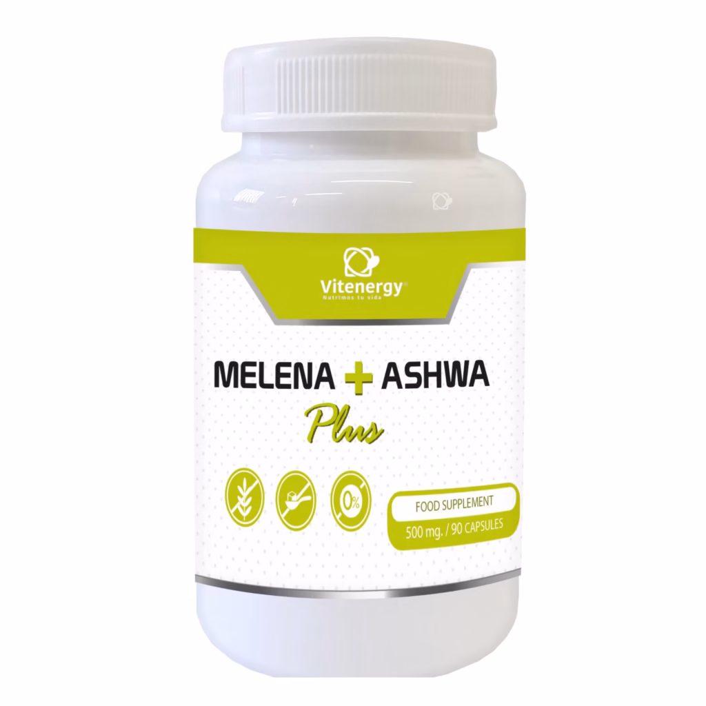 Melena de León Ashwagandha Vitenergy nootrópico enfoque estrés Chile